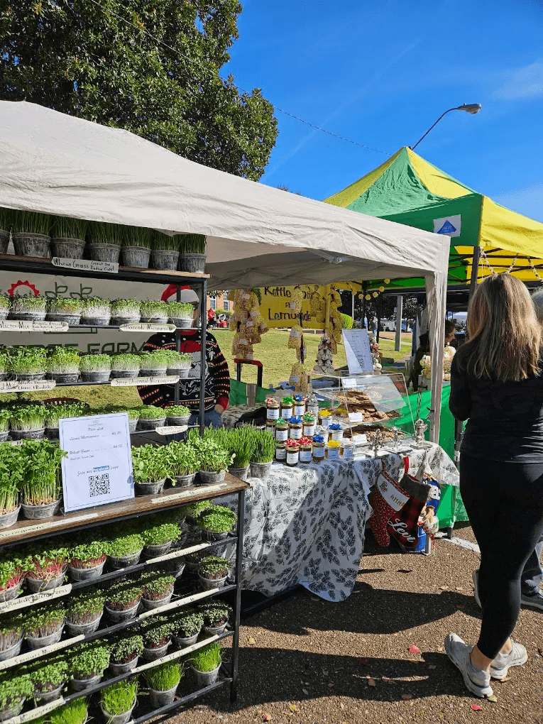 hernando farmers market picture