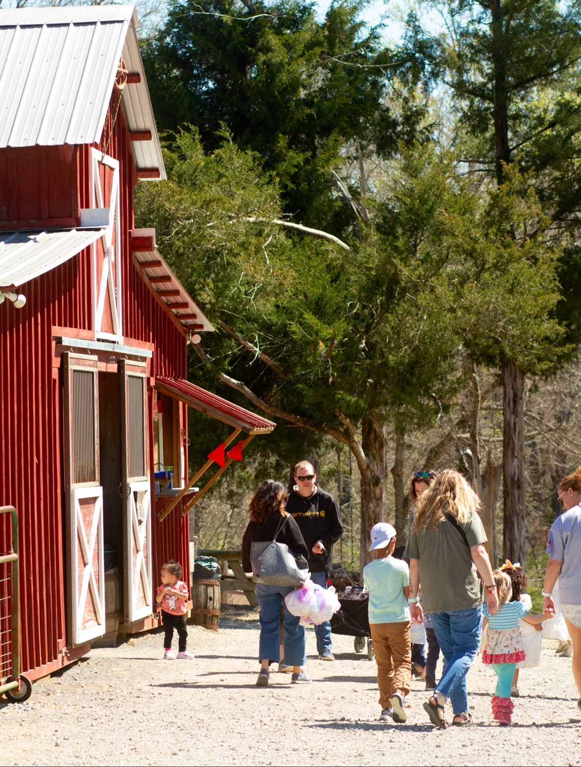 Cedar Hill Farm, The Barn. in Hernando